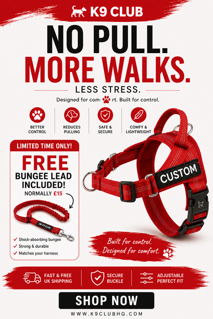 The K9 Club Adventure Harness