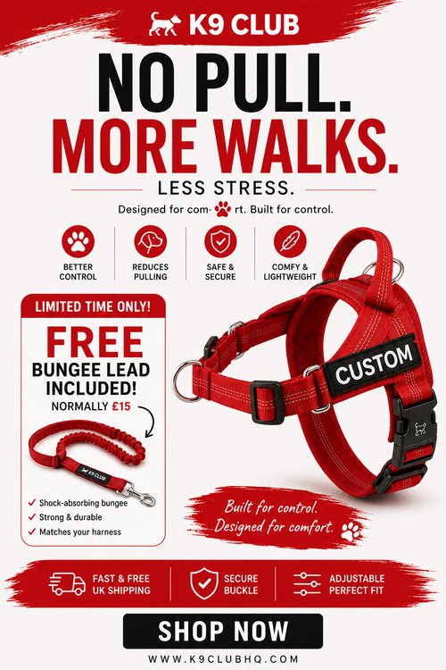 The K9 Club Adventure Harness