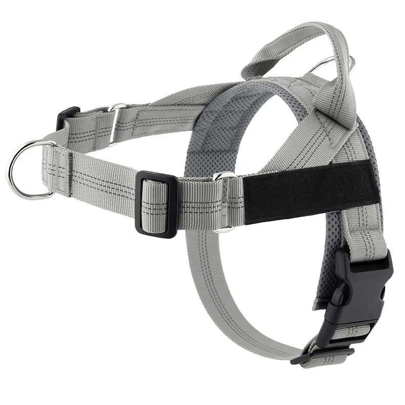The K9 Club Adventure Harness