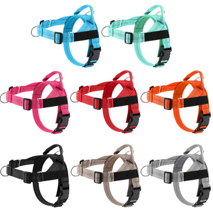 The K9 Club Adventure Harness