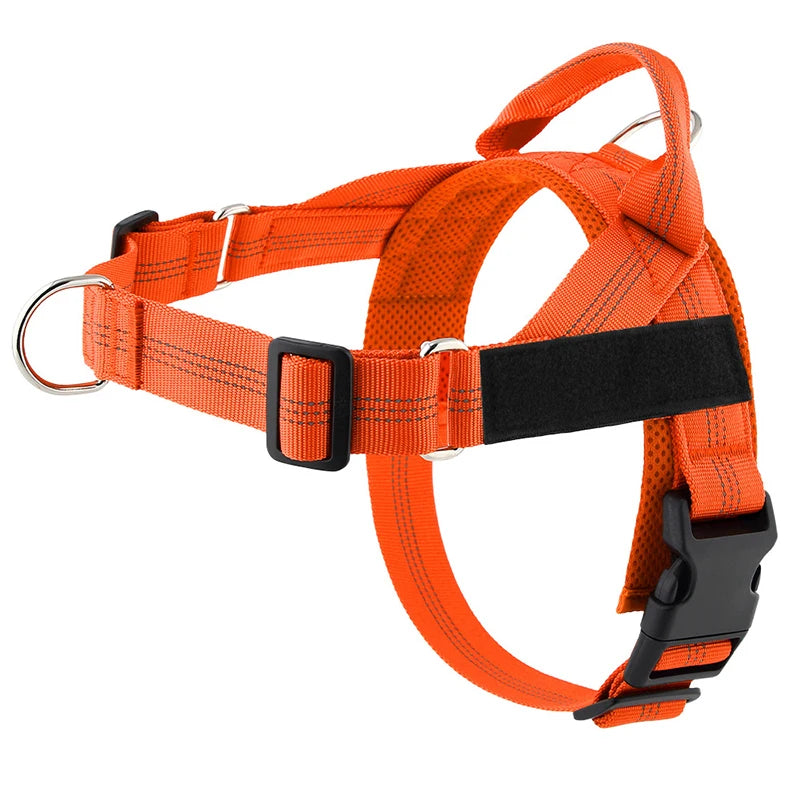 The K9 Club Adventure Harness