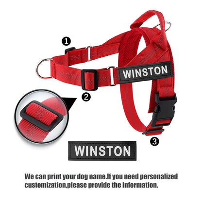The K9 Club Adventure Harness