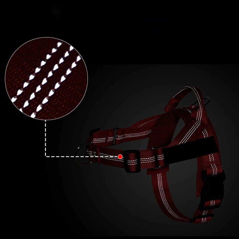 The K9 Club Adventure Harness