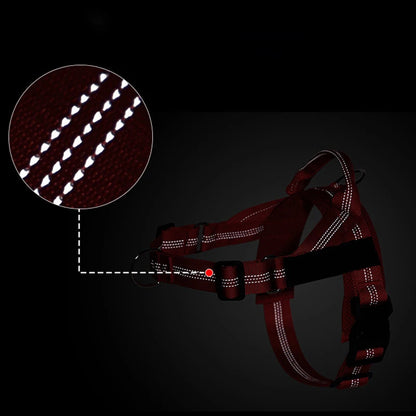The K9 Club Adventure Harness