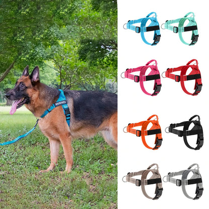 The K9 Club Adventure Harness